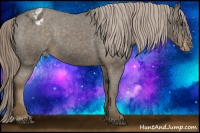 Horse Color:Chocolate Palomino Sabino Varnish 