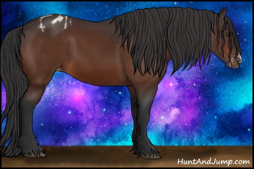 Horse Color: Bay Blanket 