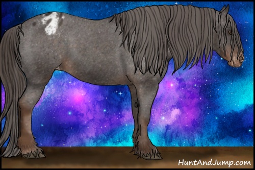 Horse Color: Liver Chestnut Sabino Blanket 