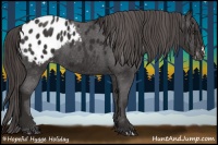 Horse Color:Liver Chestnut Appaloosa 