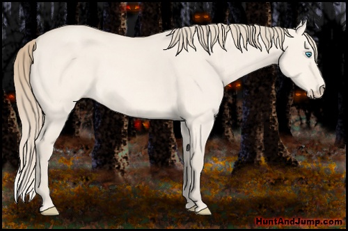 Horse Color: Perlino Dun 