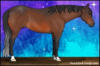 Horse Color:Brown 