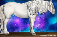 Horse Color:Palomino Roan Dun Blanket 