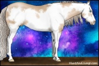 Horse Color:Chocolate Palomino Pearl Sabino Splash Frame 