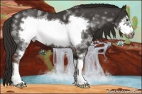 Horse Color:White Spotted Liver Red Roan Frame 
