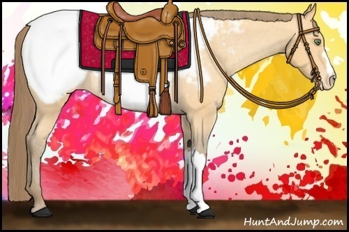 Horse Color: Amber Cream Champagne Snowcap Rabicano 
