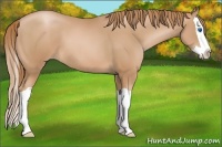 Horse Color:Chestnut Pearl Splash 