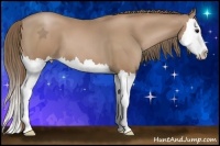 Horse Color:Black Pearl Splash 