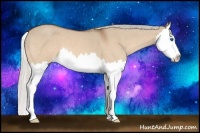 Horse Color:Silver Brown Roan Dun Splash 