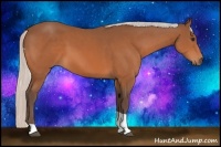 Horse Color:Silver Brown Sabino Tobiano 