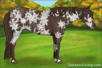 Horse Color:Liver Chestnut Ice 