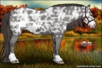 Horse Color:Liver Chestnut Ice Frame Varnish