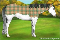 Horse Color:Plaid  Bay Splash 