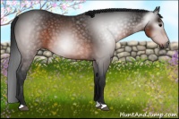 Horse Color:Gray Brown 