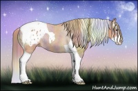 Horse Color:Nacre Chestnut Splash Tobiano Blanket Rabicano 