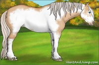 Horse Color:Silver Bay Roan Dun Sabino Frame Rabicano 