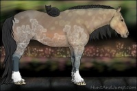 Horse Color:Bay Ice 