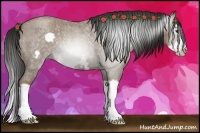 Horse Color:Gray Classic Champagne Roan Splash Frame Rabicano