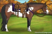 Horse Color:Brown Frame Rabicano