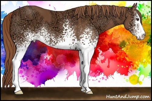 Horse Color: White Spotted Chestnut Ice Sabino 