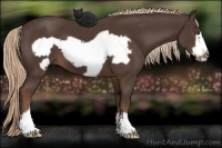 Horse Color:Liver Chestnut Frame 