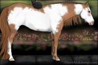 Horse Color:Chestnut Frame 