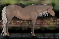 Horse Color:Silver Black 