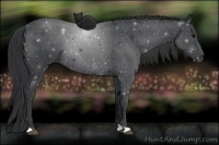 Horse Color:ERROR: UNKNOWN ANOMALY