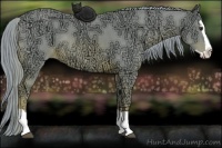 Horse Color:Watercolor Chestnut Ice Splash Rabicano 