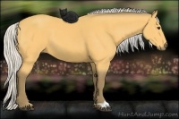 Horse Color:Silver Buckskin 