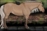 Horse Color:Silver Brown Dun 
