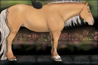 Horse Color:Silver Sable Cream Champagne 