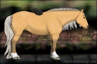 Horse Color:Silver Buckskin 