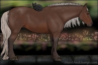 Horse Color:Silver Brown 