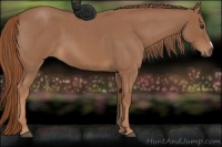 Horse Color:Red Roan 