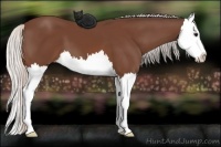Horse Color:Silver Brown Splash 