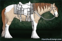 Horse Color:Red Dun Splash Tobiano Rabicano 