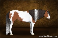Horse Color:Bay Splash Tobiano Frame 