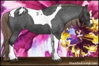 Horse Color:Liver Chestnut Tobiano Blanket 