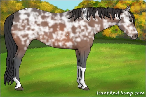 Horse Color: Bay Ice Tobiano 