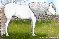 Horse Color:Buckskin Pearl Splash Near Fewspot 