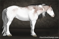 Horse Color:White Spotted Brown Splash Tobiano 