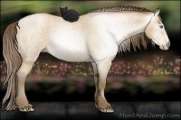 Horse Color:Gray Smoky Blue Roan Pearl 