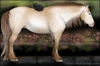 Horse Color:Gray Smoky Blue Roan Pearl 