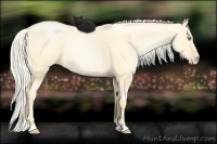 Horse Color:Silver Buckskin Pearl Dun 