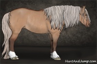 Horse Color:Silver Bay Dun Rabicano 
