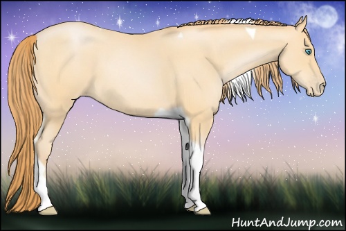 Horse Color: Buckskin Pearl Tobiano 
