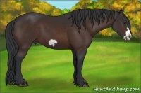 Horse Color:Brown Frame 