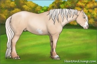 Horse Color:Silver Sable Champagne Pearl Frame 