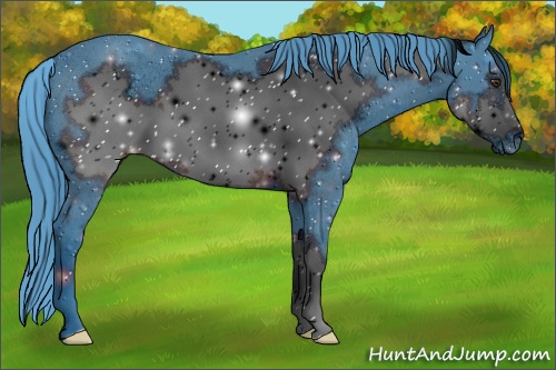 Horse Color: ERROR: UNKNOWN ANOMALY